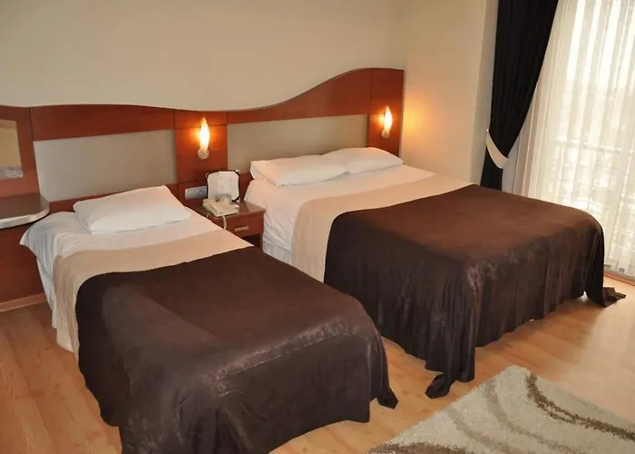 Ξενοδοχείο Gold Heykel 3*